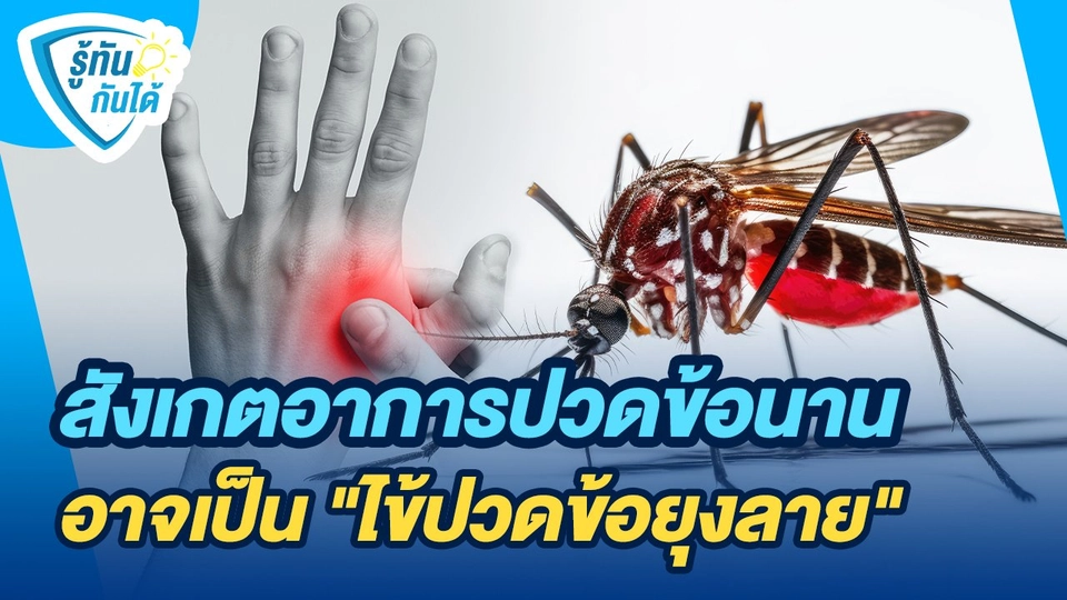 รู้ทันกันได้ : สังเกตอาการปวดข้อนานอาจเป็น "ไข้ปวดข้อยุงลาย"
