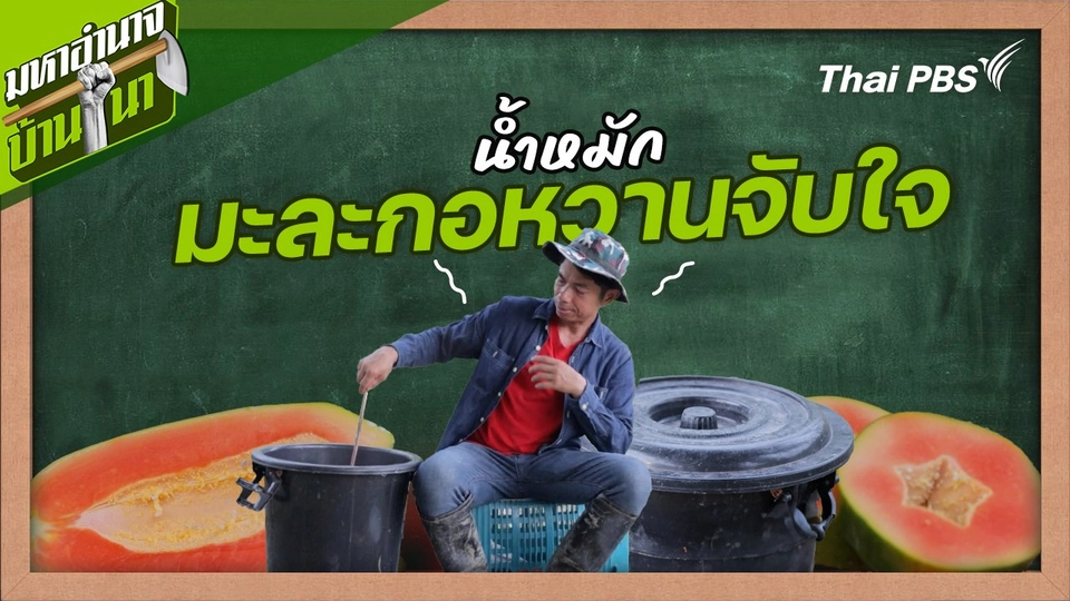 สูตรลับฉบับบ้านนา : น้ำหมักมะละกอหวานจับใจ