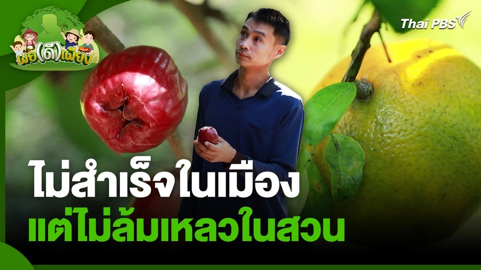 พอดีพอเพียง : ไม่สำเร็จในเมือง...แต่ไม่ล้มเหลวในสวน