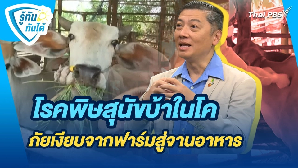 รู้ทันกันได้ : โรคพิษสุนัขบ้าในโค ภัยเงียบจากฟาร์มสู่จานอาหาร