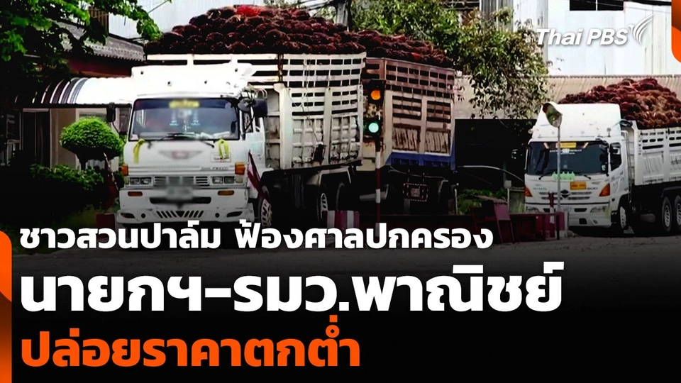 ชาวสวนปาล์ม ฟ้องศาลปกครอง นายกฯ-รมว.พาณิชย์ ปล่อยราคาตกต่ำ