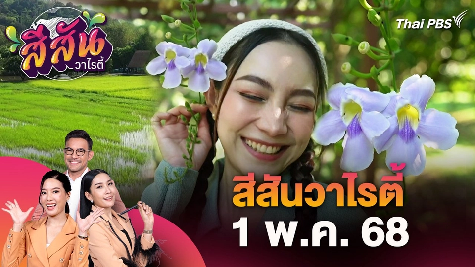 สีสันวาไรตี้ (1 พ.ค. 68)