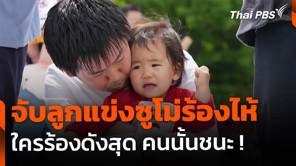 จับลูกน้อย แข่งซูโม่ร้องไห้