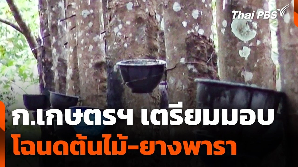 ก.เกษตรฯ เตรียมมอบโฉนดต้นไม้-ยางพารา 12 พ.ค. นี้