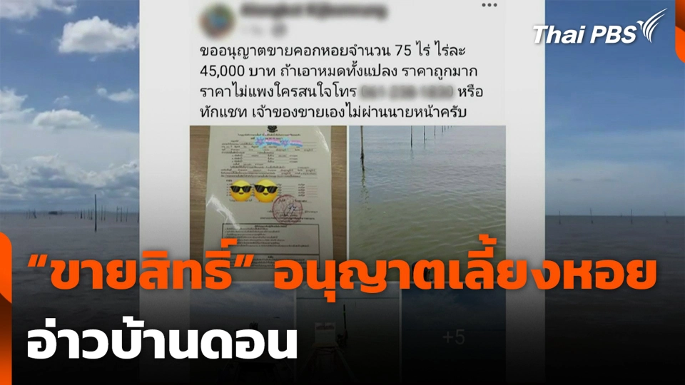 “ขายสิทธิ์” อนุญาตเลี้ยงหอย อ่าวบ้านดอน จ.สุราษฎร์ธานี