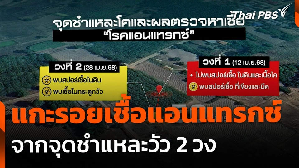 The EXIT : แกะรอยต้นตอ "เชื้อแอนแทรกซ์"