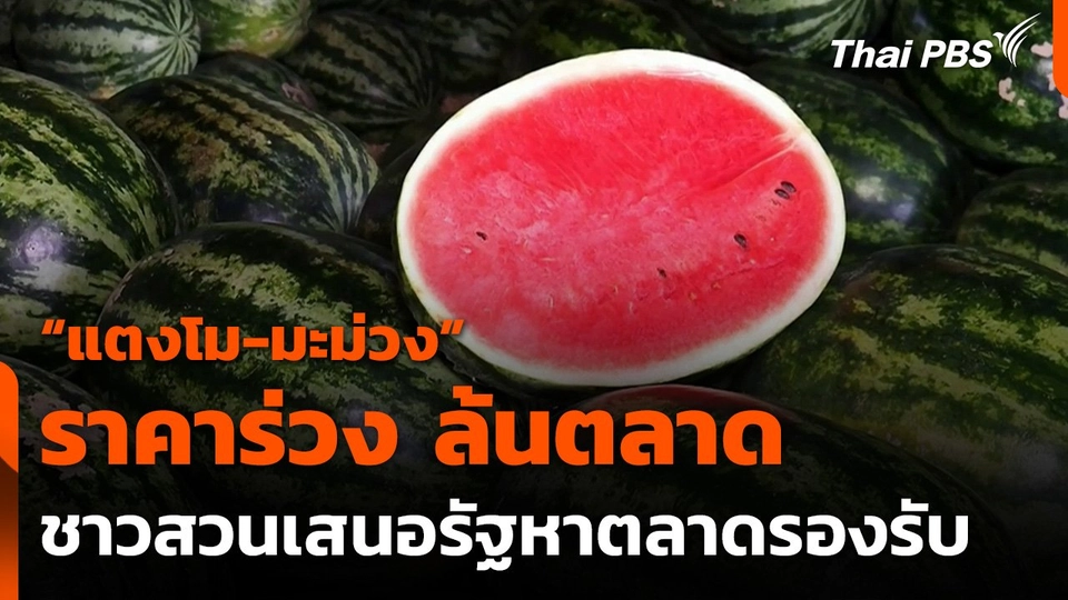 "แตงโม-มะม่วง" ราคาร่วง ล้นตลาด ชาวสวนเสนอรัฐหาตลาดรองรับ