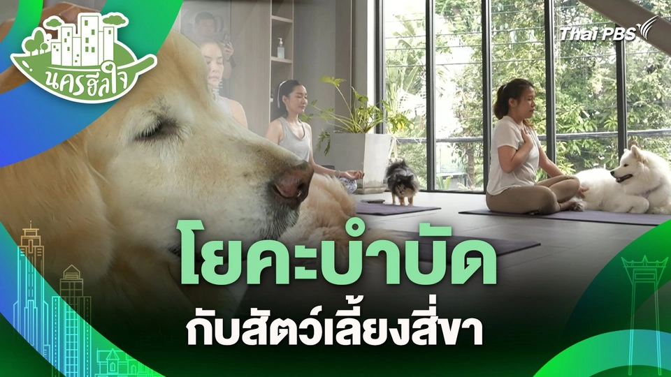 นครฮีลใจ : โยคะบำบัดกับสัตว์เลี้ยงสี่ขา