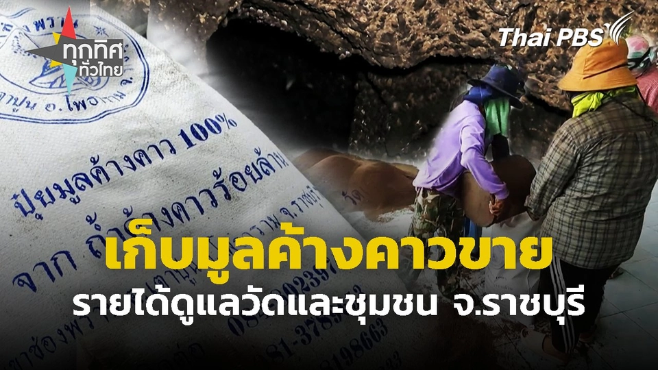 เก็บมูลค้างคาวขาย รายได้ดูแลวัดและชุมชน จ.ราชบุรี