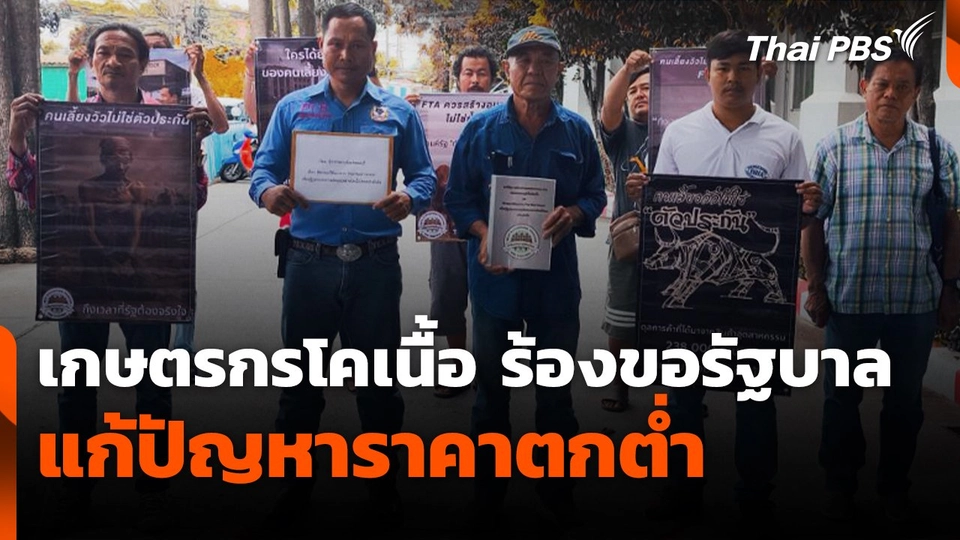 สถานีร้องเรียน : เกษตรกรโคเนื้อ ร้องขอรัฐบาลแก้ปัญหาราคาตกต่ำ