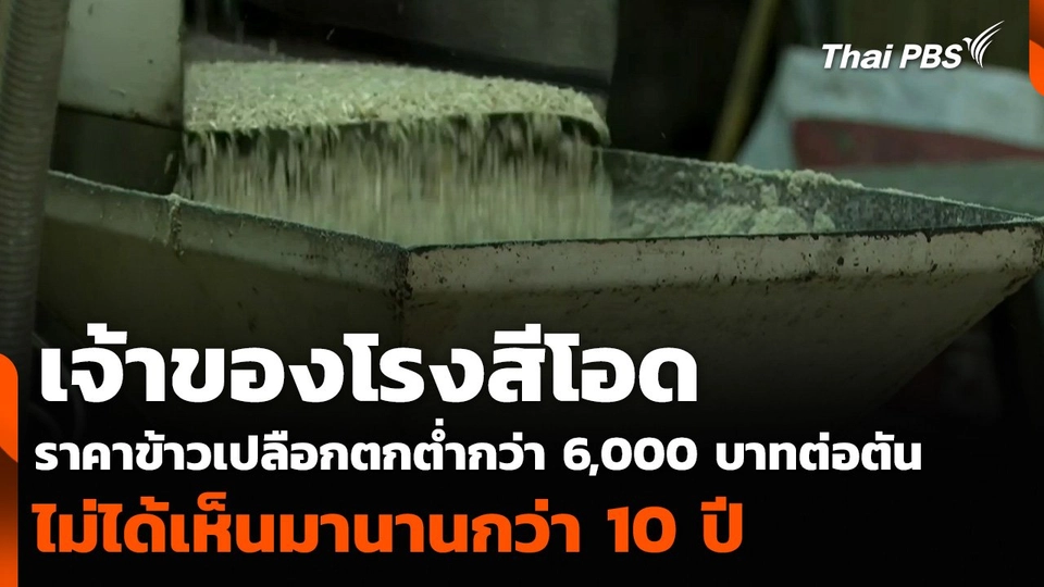 เจ้าของโรงสีโอด ราคาข้าวเปลือกตกต่ำกว่า 6,000 บาทต่อตัน ไม่ได้เห็นมานานกว่า 10 ปี
