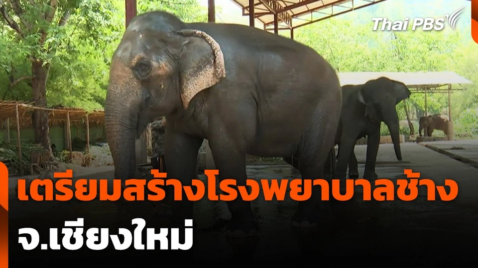 เตรียมสร้างโรงพยาบาลช้าง จ.เชียงใหม่