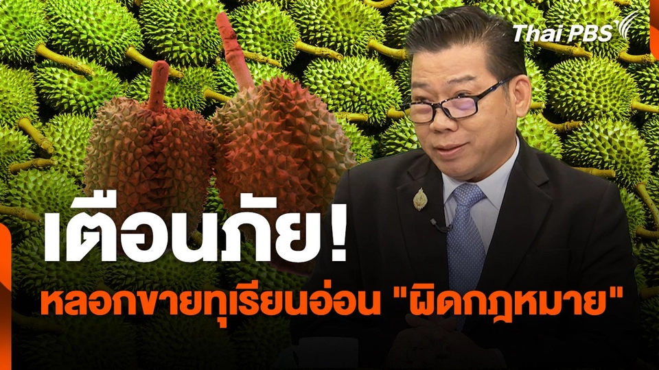 สถานีเตือนภัยออนไลน์ : เตือนภัย! หลอกขายทุเรียนอ่อน "ผิดกฎหมาย"