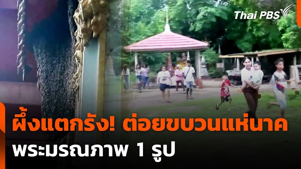 ผึ้งแตกรังต่อยขบวนแห่นาค พระมรณภาพ 1 รูป