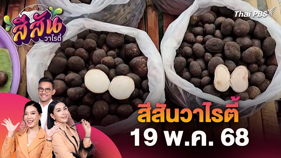 สีสันวาไรตี้ (19 พ.ค. 68)