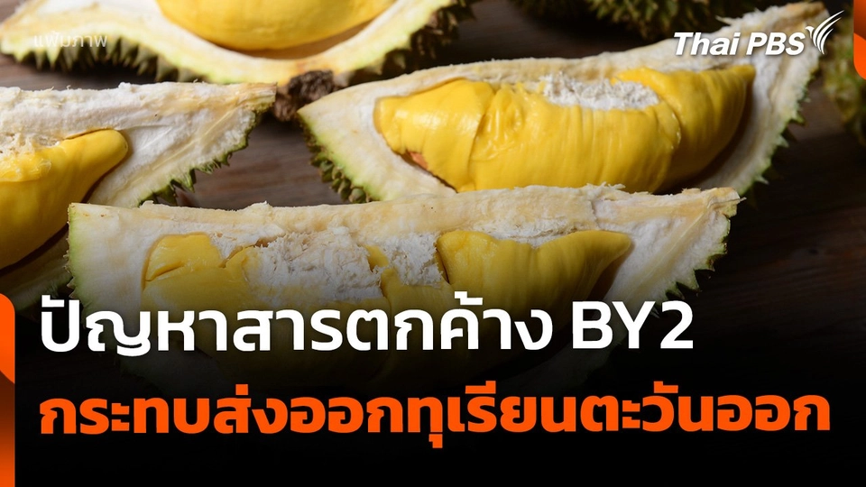 ปัญหาสารตกค้าง BY2 กระทบส่งออกทุเรียนภาคตะวันออก