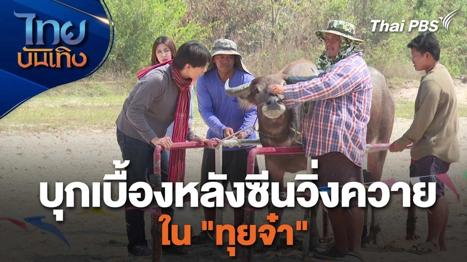 เยี่ยมมองกองถ่ายกับ สรี มามะ : บุกเบื้องหลังซีนวิ่งควายใน "ทุยจ๋า"