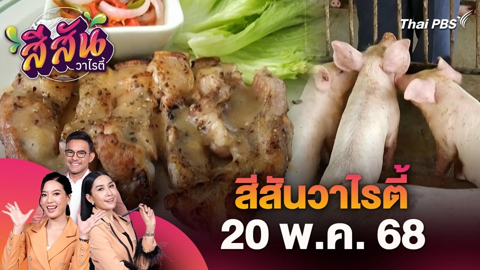 สีสันวาไรตี้ (20 พ.ค. 68)