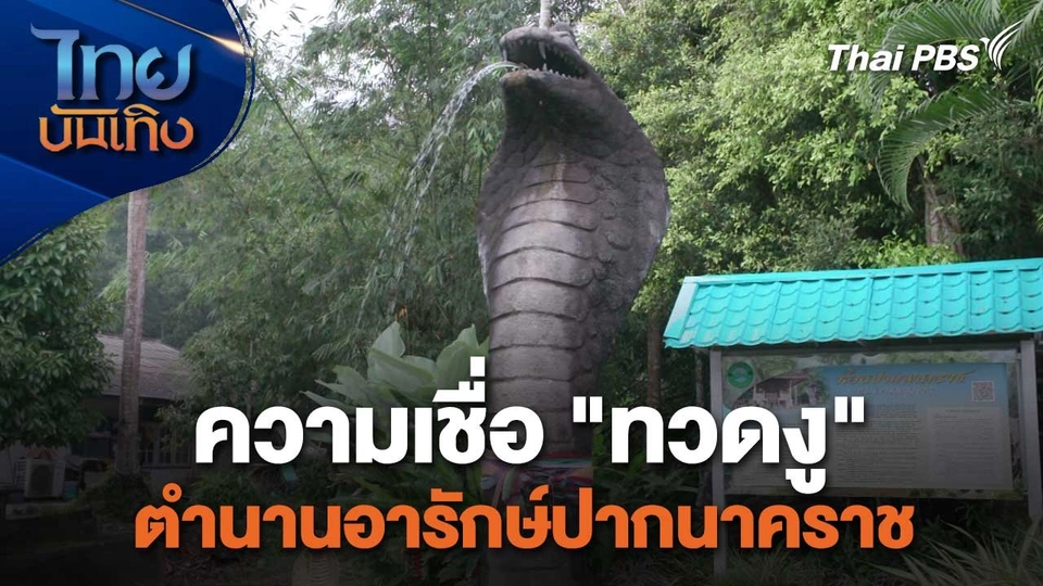 เรื่องนี้มีตำนาน : ความเชื่อ "ทวดงู" ตำนานอารักษ์ปากนาคราช