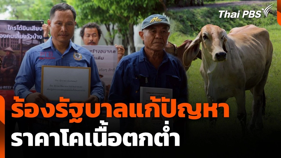 สถานีร้องเรียน : ร้องรัฐบาลแก้ปัญหาราคาโคเนื้อตกต่ำ