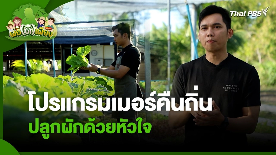 พอดีพอเพียง : โปรแกรมเมอร์คืนถิ่น ปลูกผักด้วยหัวใจ