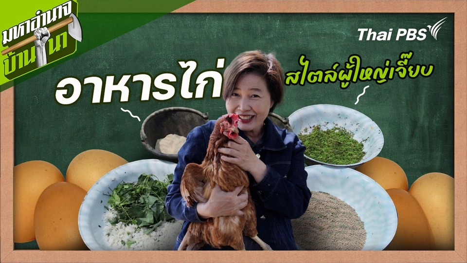 สูตรลับฉบับบ้านนา : อาหารไก่สไตล์ผู้ใหญ่เจี๊ยบ