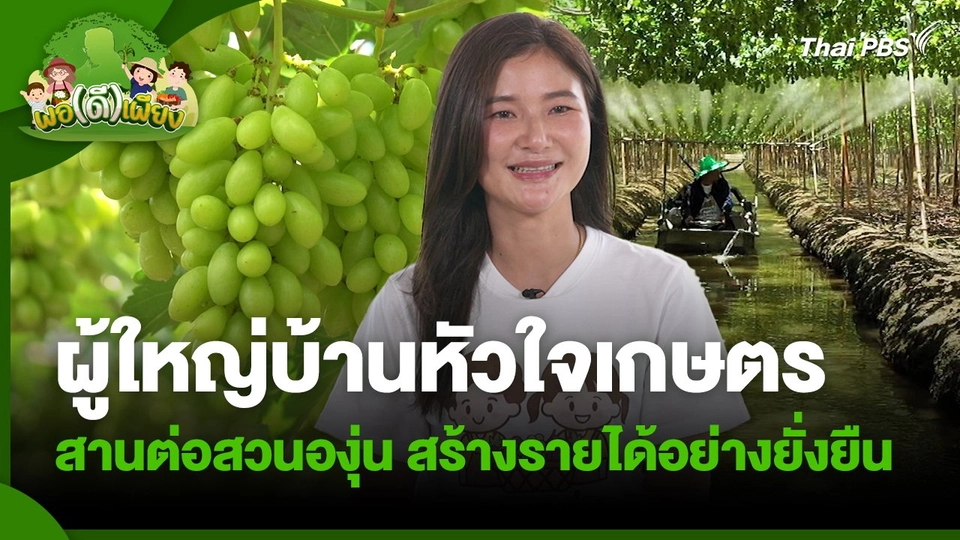 พอดีพอเพียง : ผู้ใหญ่บ้านหัวใจเกษตร สานต่อสวนองุ่น สร้างรายได้อย่างยั่งยืน