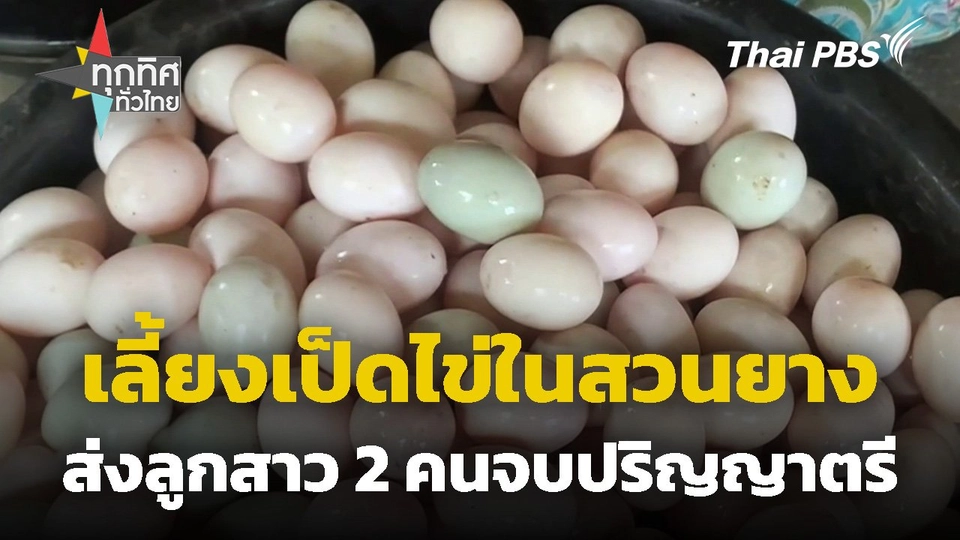 เลี้ยงเป็ดไข่ในสวนยาง จ.ตรัง ส่งลูกสาว 2 คนจบปริญญาตรี