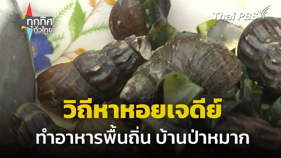 วิถีหาหอยเจดีย์ ทำอาหารพื้นถิ่น บ้านป่าหมาก