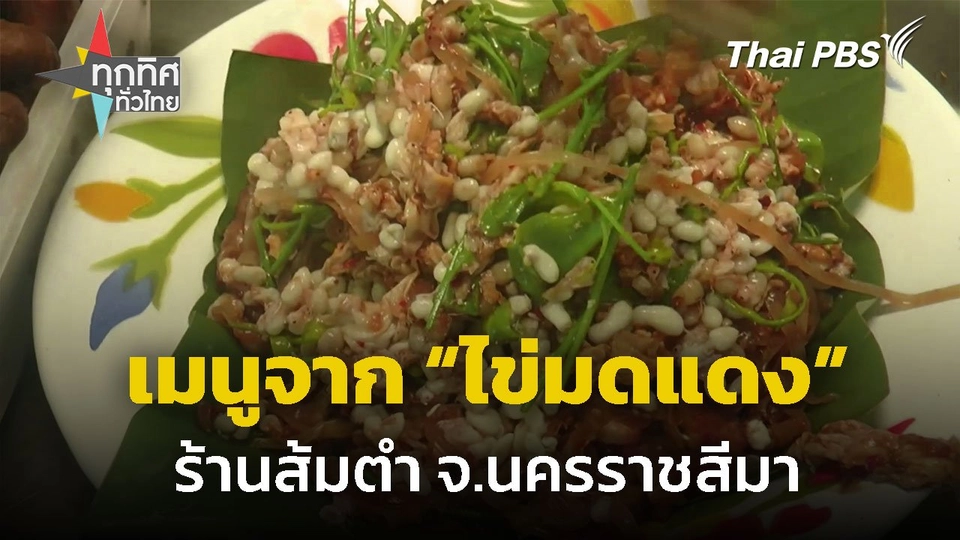 เมนูจากไข่มดแดง วัตถุดิบพื้นถิ่น จ.นครราชสีมา