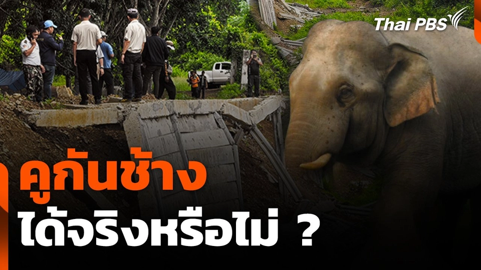 สถานีร้องเรียน : คูกันช้าง ได้จริงหรือไม่?