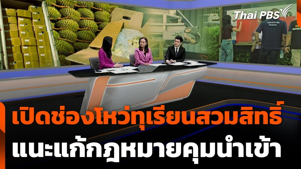 เปิดช่องโหว่ทุเรียนสวมสิทธิ์ แนะแก้กฎหมายคุมนำเข้า