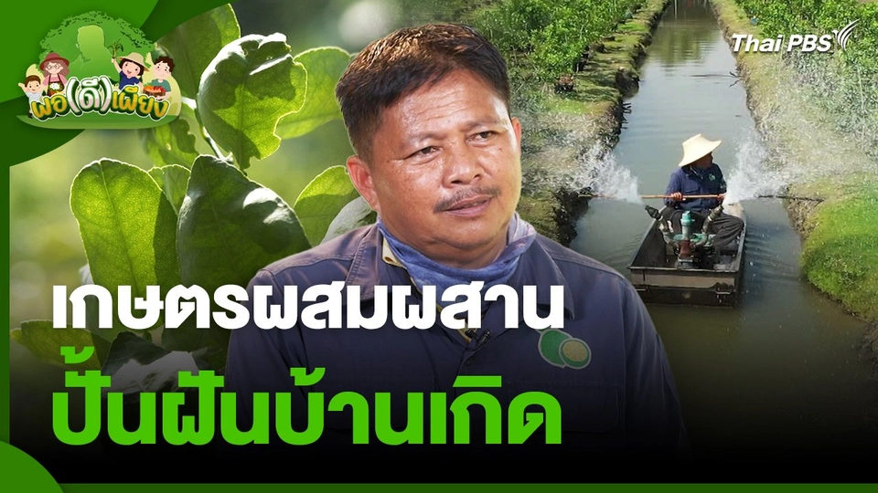 พอดีพอเพียง : เกษตรผสมผสาน ปั้นฝันบ้านเกิด