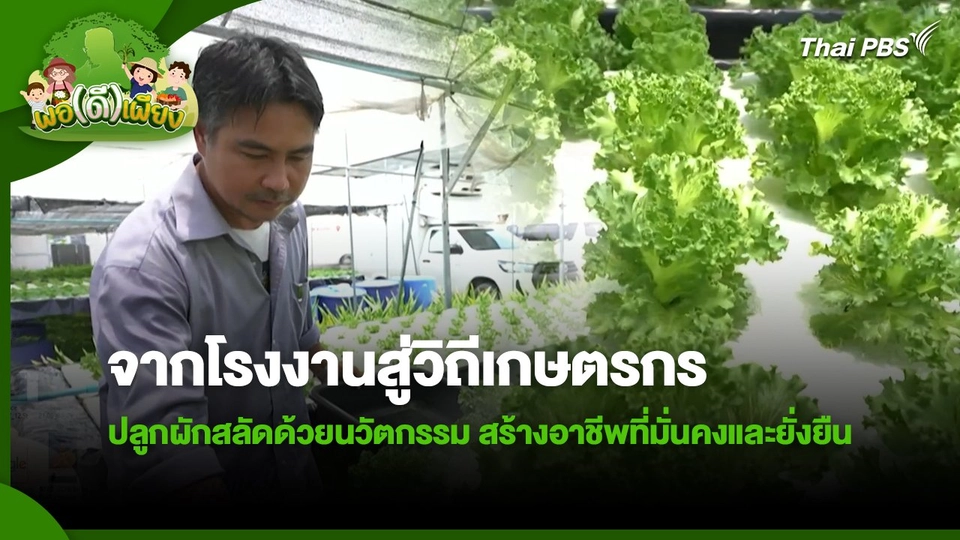 พอดีพอเพียง : จากโรงงานสู่วิถีเกษตรกร ปลูกผักสลัดด้วยนวัตกรรม สร้างอาชีพที่มั่นคงและยั่งยืน