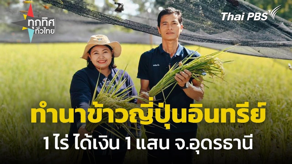 ทำนาข้าวญี่ปุ่นอินทรีย์ 1 ไร่ ได้เงินหลักแสน จ.อุดรธานี