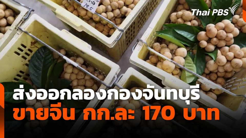 ส่งออกลองกองจันทบุรี ขายจีน กก.ละ 170 บาท