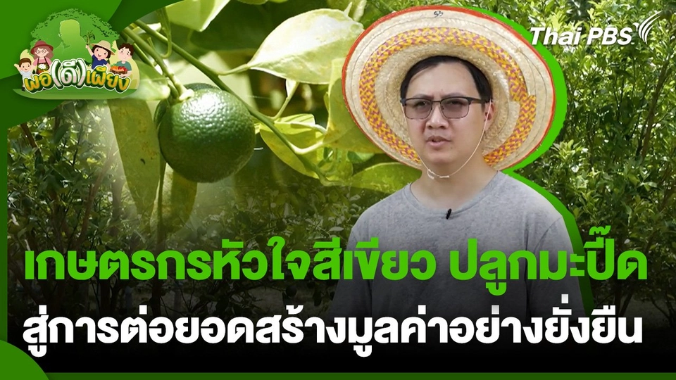 พอดีพอเพียง : เกษตรกรหัวใจสีเขียว ปลูกมะปี๊ดสู่การต่อยอดสร้างมูลค่าอย่างยั่งยืน
