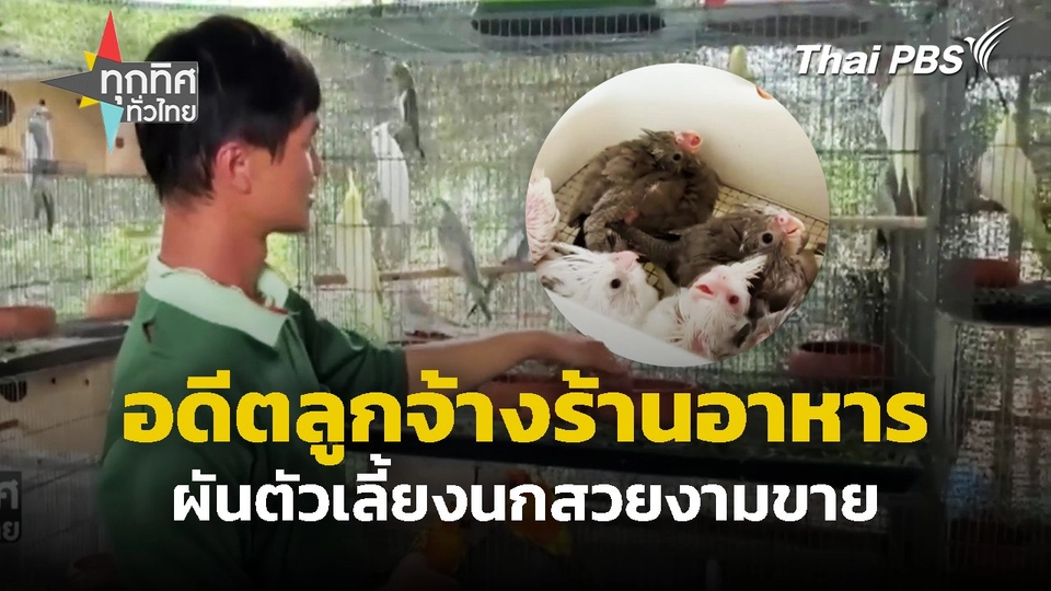 อดีตลูกจ้างร้านอาหาร ผันตัวเลี้ยงนกสวยงามขาย
