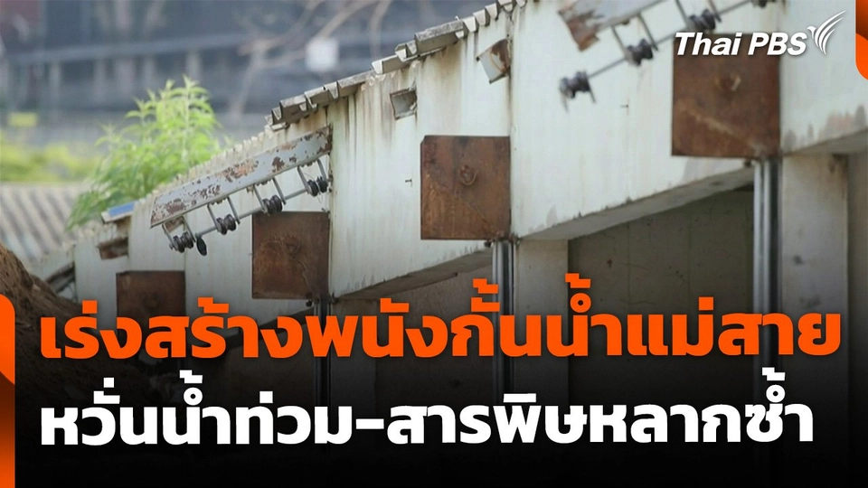 เร่งสร้างพนังกั้นน้ำแม่สาย หวั่นน้ำท่วมซ้ำรอย สารพิษหลากซ้ำ