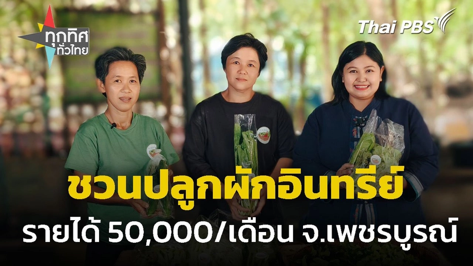 ปลูกผักอินทรีย์ รายได้ 50,000 ต่อเดือน จ.เพชรบูรณ์