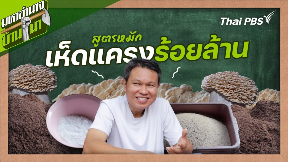 ​สูตรลับฉบับบ้านนา : สูตรหมักเห็ดแครงร้อยล้าน
