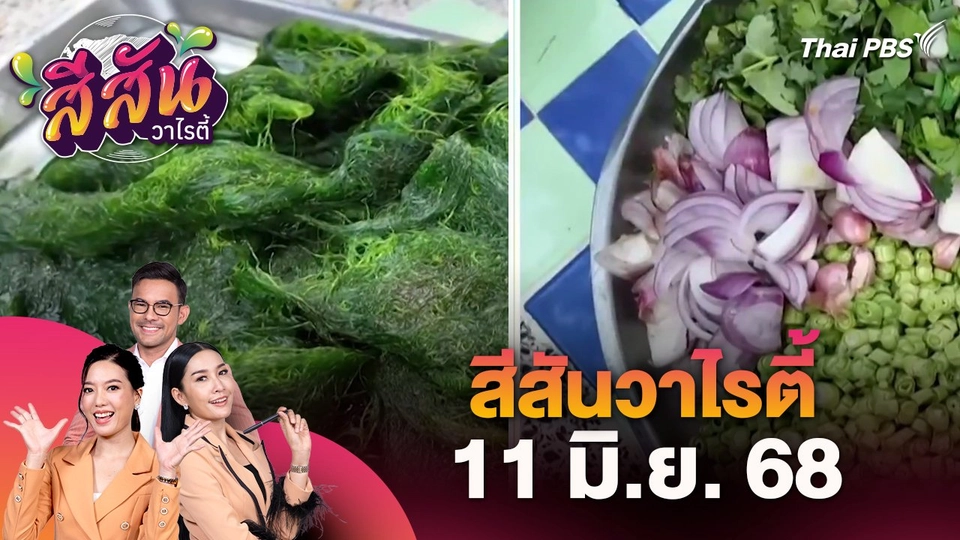 สีสันวาไรตี้ (11 มิ.ย. 68)