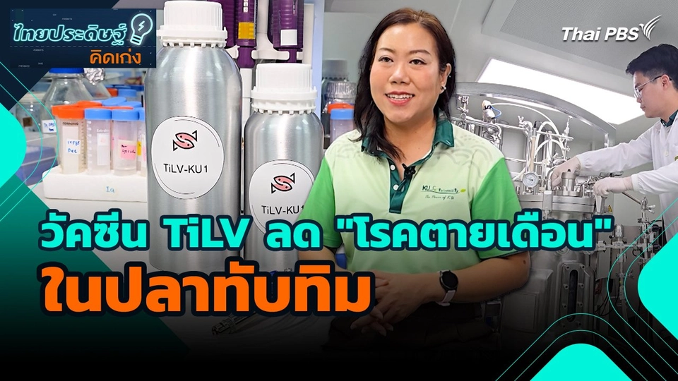 ไทยประดิษฐ์คิดเก่ง : ​​วัคซีน TiLV ลด "โรคตายเดือน" ในปลาทับทิม