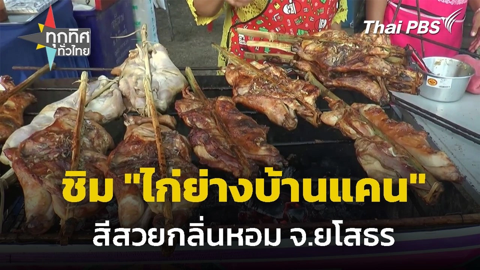 ชิม "ไก่ย่างบ้านแคน" สีสวยกลิ่นหอม จ.ยโสธร