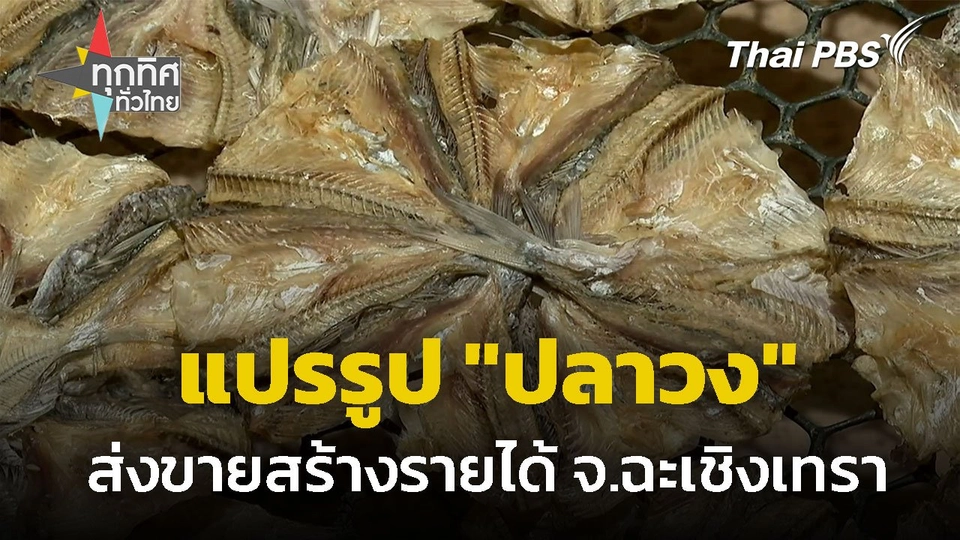 แปรรูป "ปลาวง" ส่งขายสร้างรายได้ จ.ฉะเชิงเทรา