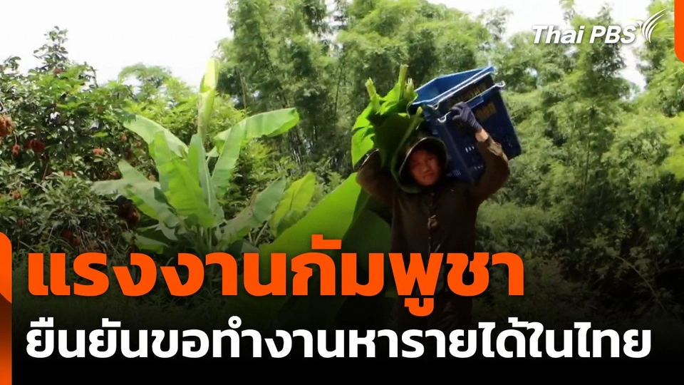 แรงงานกัมพูชา ยืนยันขอทำงานหารายได้ในไทย