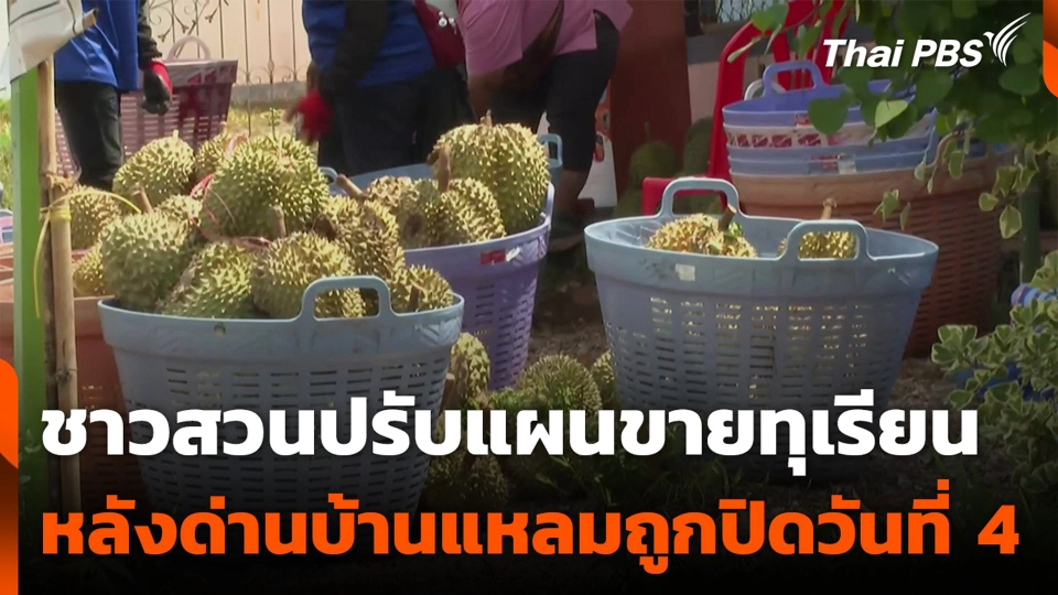 ชาวสวนปรับแผนขายทุเรียน หลังด่านบ้านแหลมถูกปิดวันที่ 4