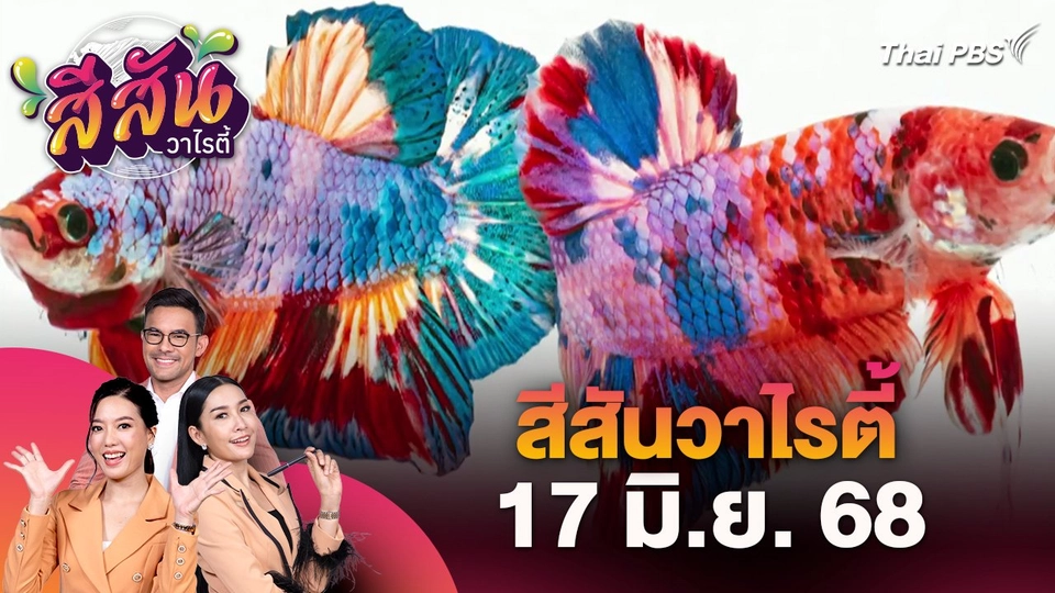 สีสันวาไรตี้ (17 มิ.ย. 68)