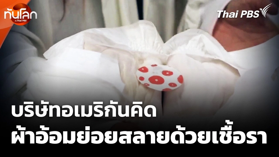 บริษัทอเมริกันคิดค้นผ้าอ้อมย่อยสลายด้วยเชื้อรา