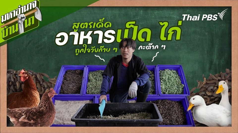 สูตรลับฉบับบ้านนา : สูตรเด็ดอาหารเป็ด ไก่ ถูกใจวัยก๊าบ ๆ กะต๊าก ๆ